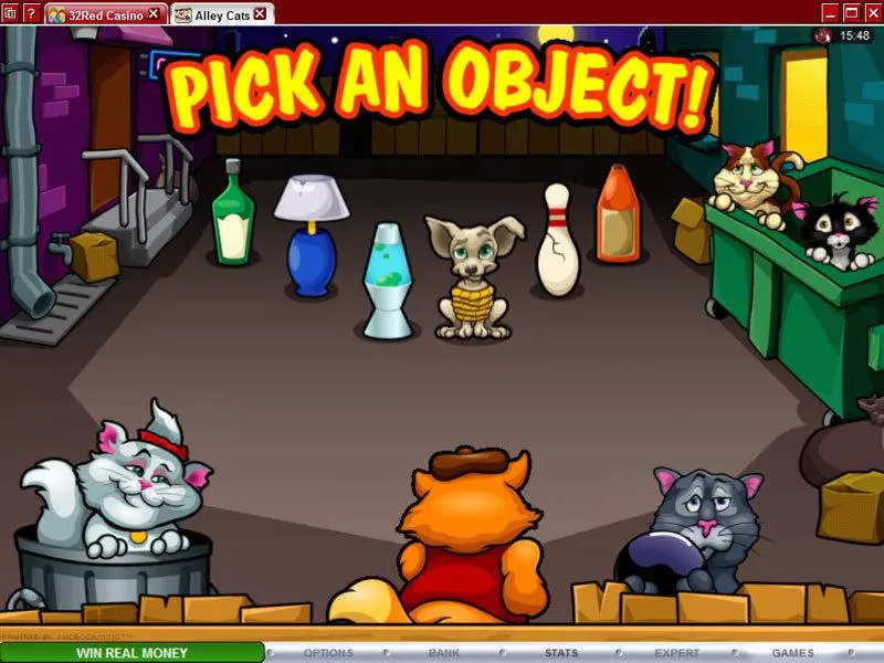 Alley Cats Microgaming Slot Bonus 2