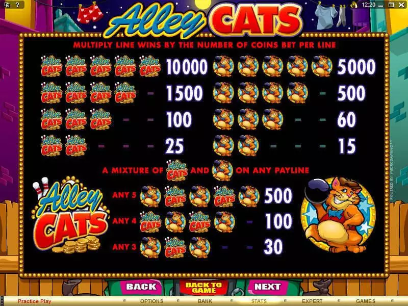 Alley Cats Microgaming Slot Info and Rules