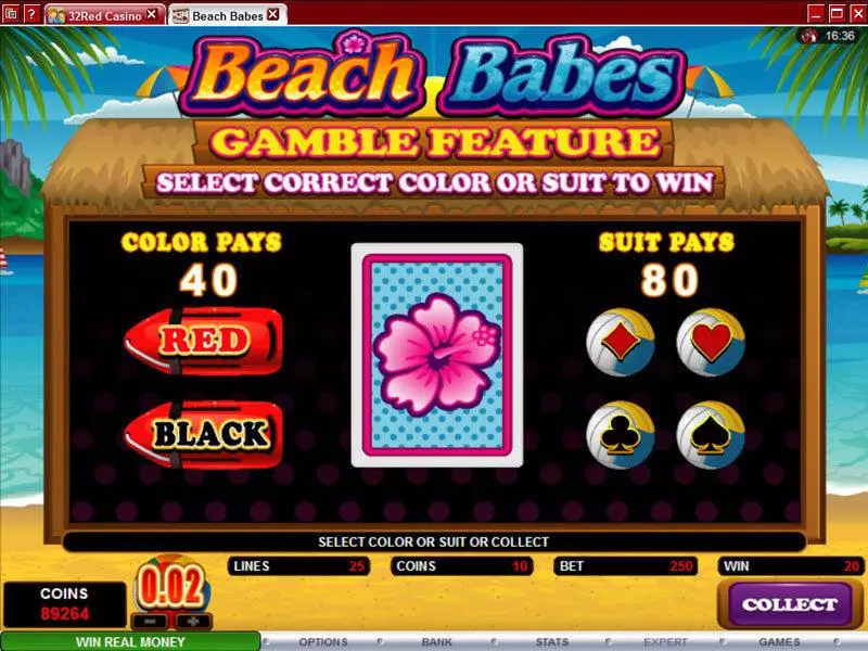 Beach Babes Microgaming Slot Gamble Screen
