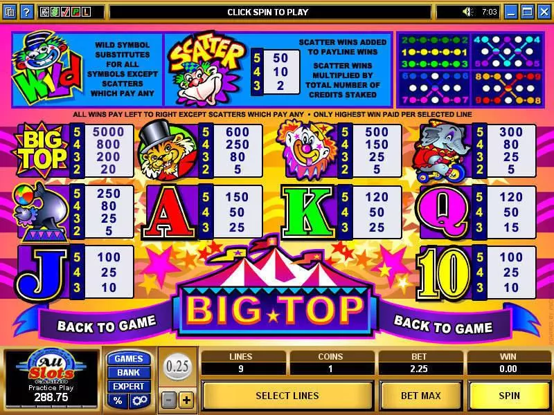 Big Top Microgaming Slot Info and Rules