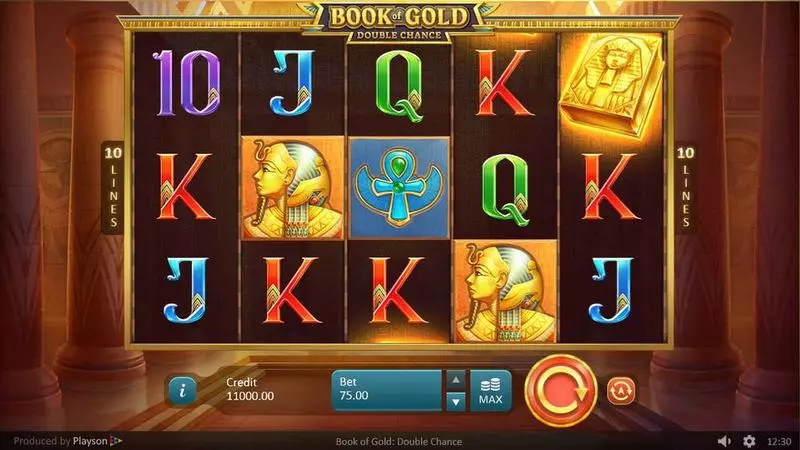 Book of Gold: Double Chance Playson Slot Main Screen Reels