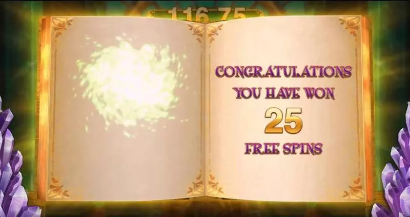 Book of Oz Lock ‘N Spin Microgaming Slot Free Spins Feature