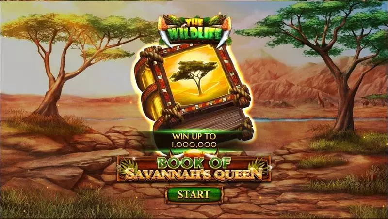 Book Of Savannah’s Queen Spinomenal Slot Introduction Screen