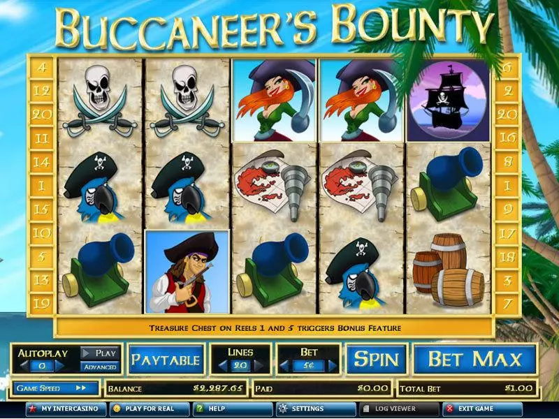 Buccaneer's Bounty 20 Lines CryptoLogic Slot Main Screen Reels