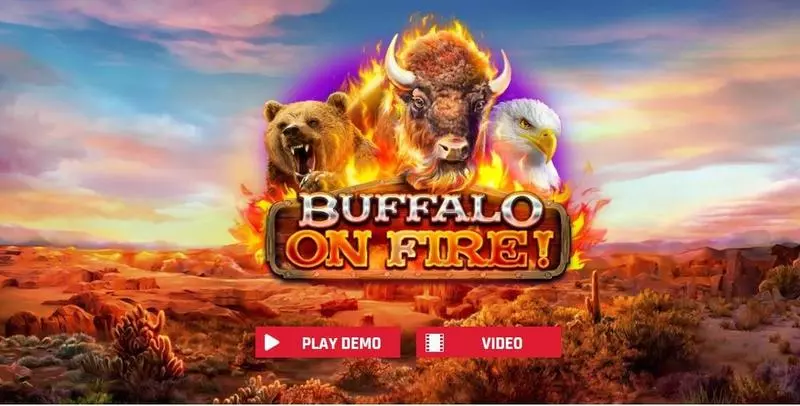 Buffalo On Fire! Red Rake Gaming Slot Introduction Screen