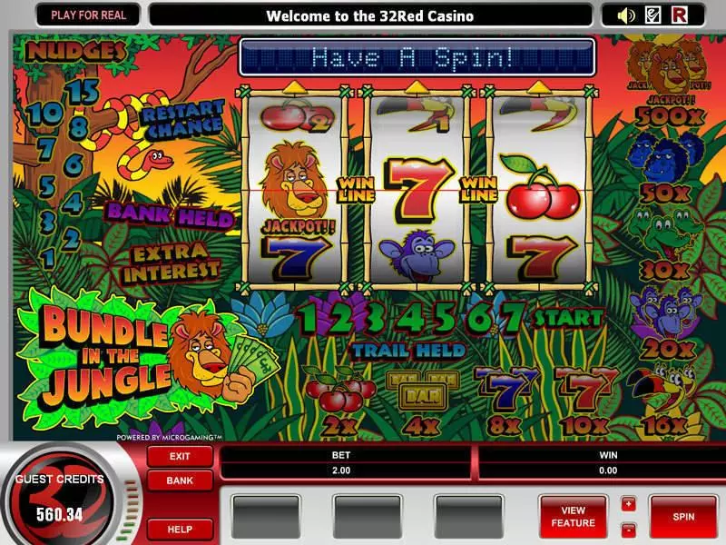 Bundle in the Jungle Microgaming Slot Bonus 1