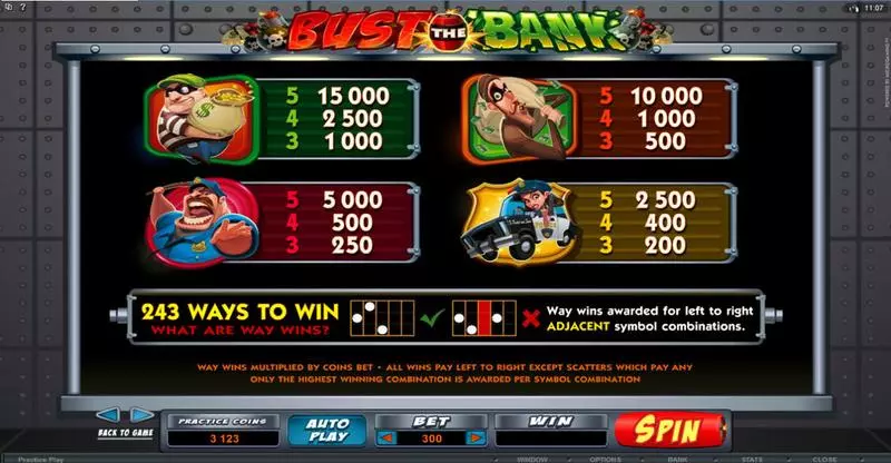 Bust the Bank Microgaming Slot Info and Rules