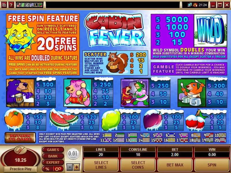 Cabin Fever Microgaming Slot Info and Rules