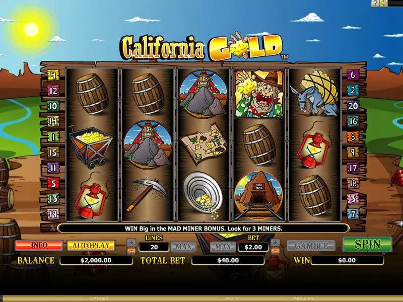 California Gold Microgaming Slot Main Screen Reels