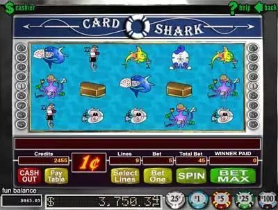 Card Shark RTG Slot Main Screen Reels