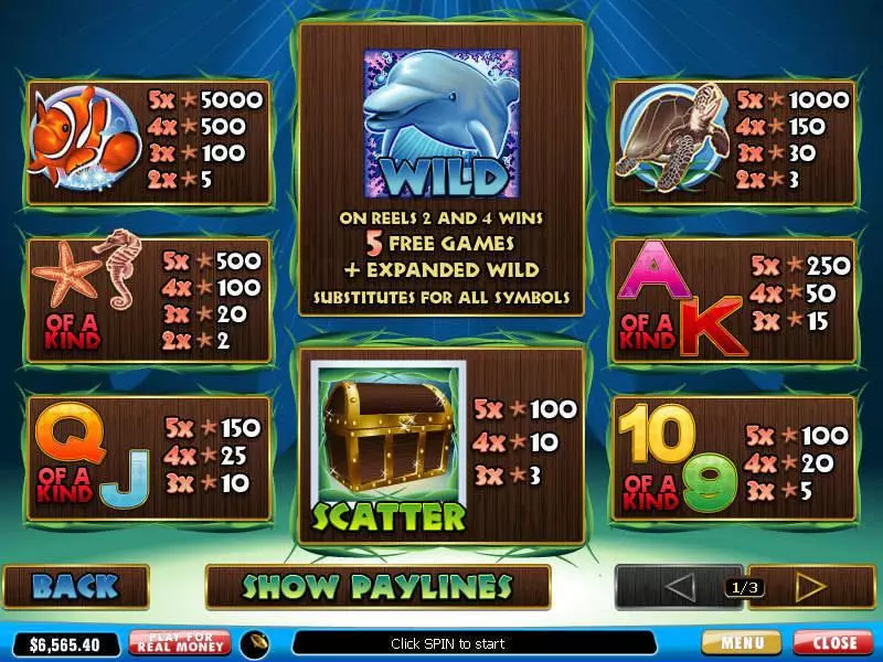 Dolphin Reef PlayTech Slot Info and Rules