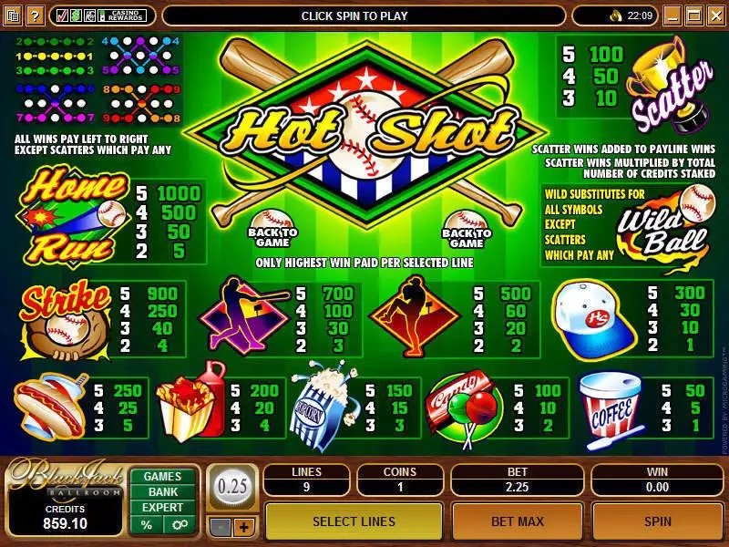 Hot Shot Microgaming Slot Info and Rules