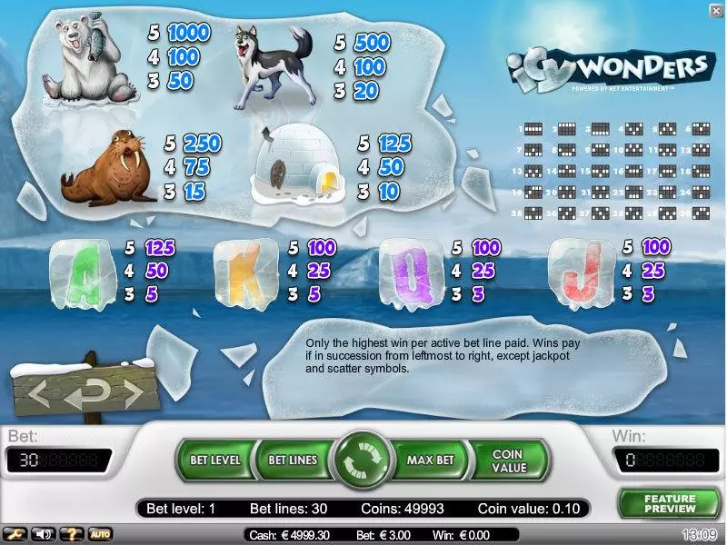 Icy Wonders NetEnt Slot Info and Rules