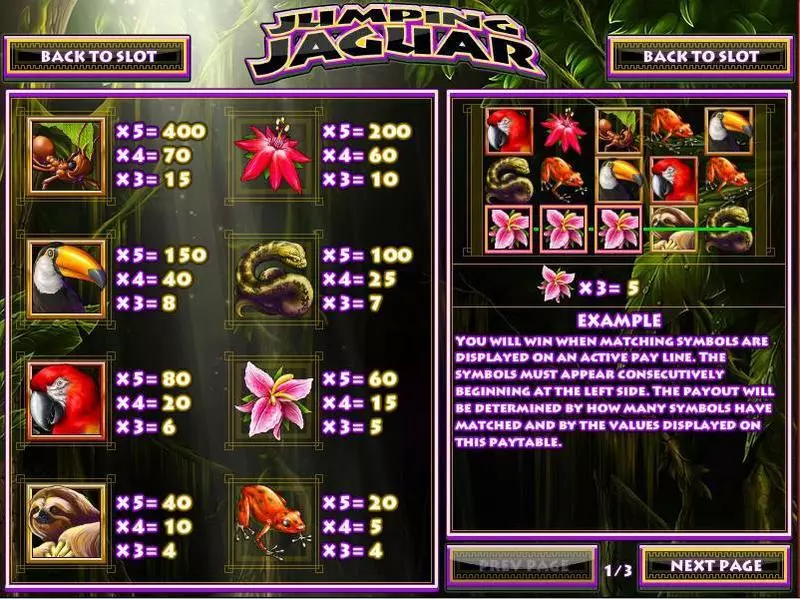 Jumping Jaguar Rival Slot Info and Rules