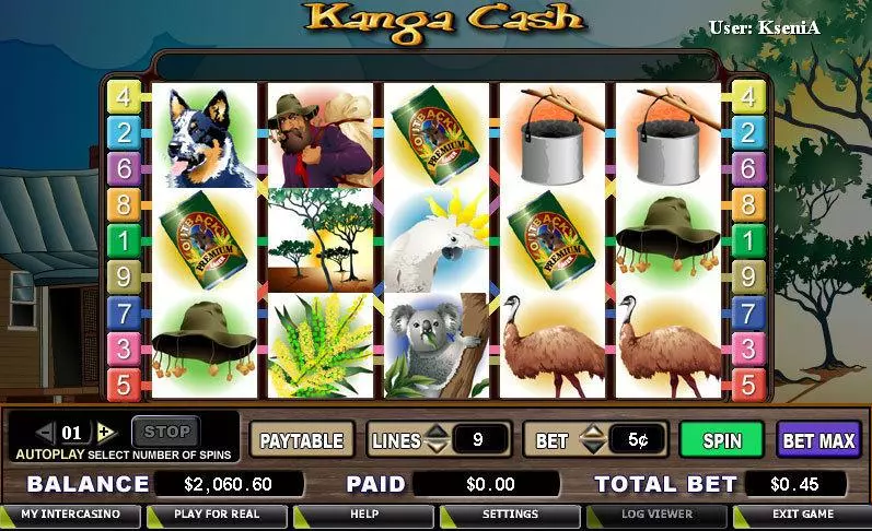 Kanga Cash CryptoLogic Slot Main Screen Reels