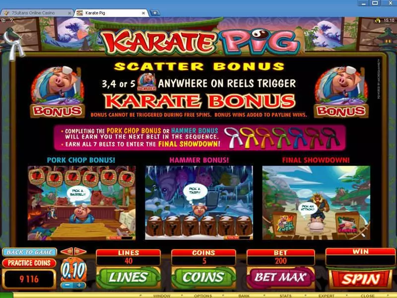 Karate Pig Microgaming Slot Bonus 1