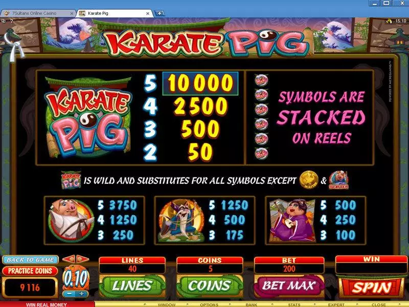 Karate Pig Microgaming Slot Info and Rules