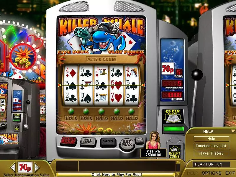 Killer Whale Poker Boss Media Slot Main Screen Reels