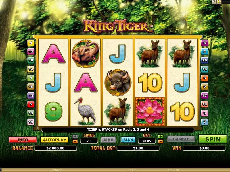 King Tiger Microgaming Slot Main Screen Reels