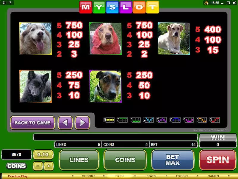 MYSLOT Microgaming Slot Info and Rules