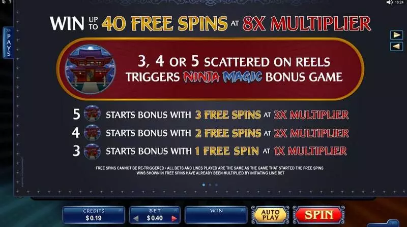 Ninja Magic Microgaming Slot Info and Rules