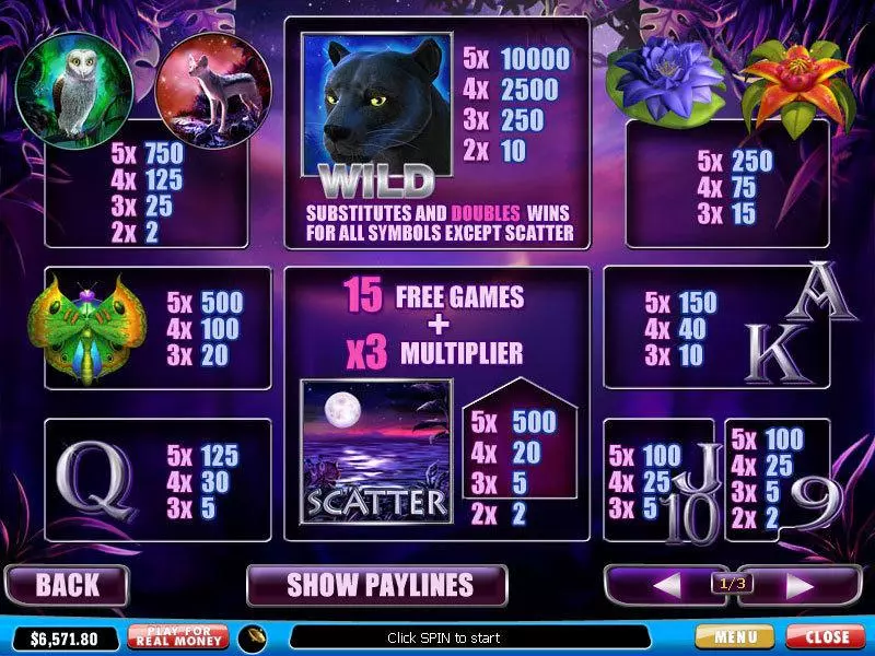 Panther Moon PlayTech Slot Info and Rules
