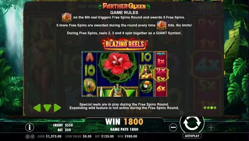Panther Queen PartyGaming Slot Info and Rules