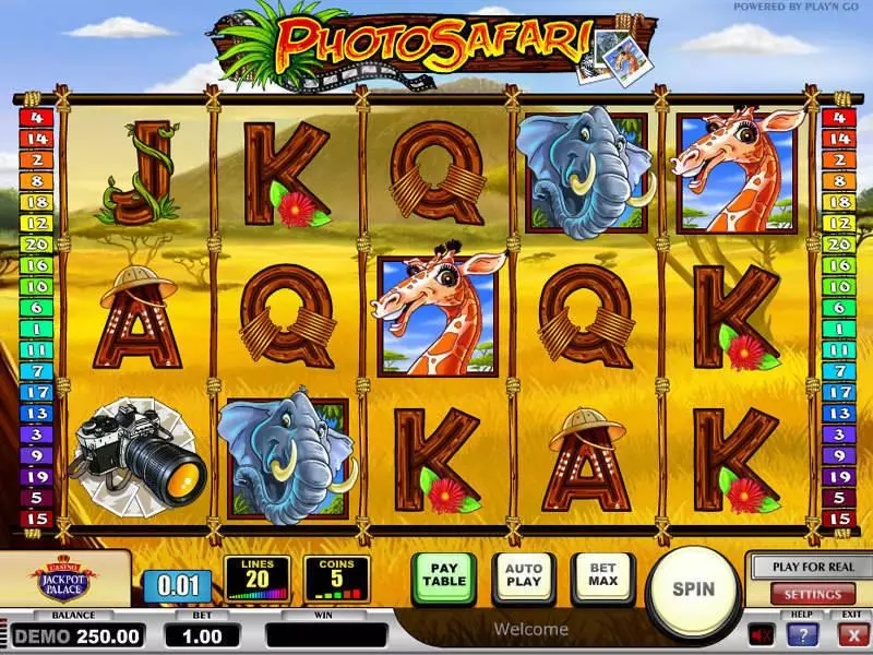 Photo Safari Play'n GO Slot Main Screen Reels