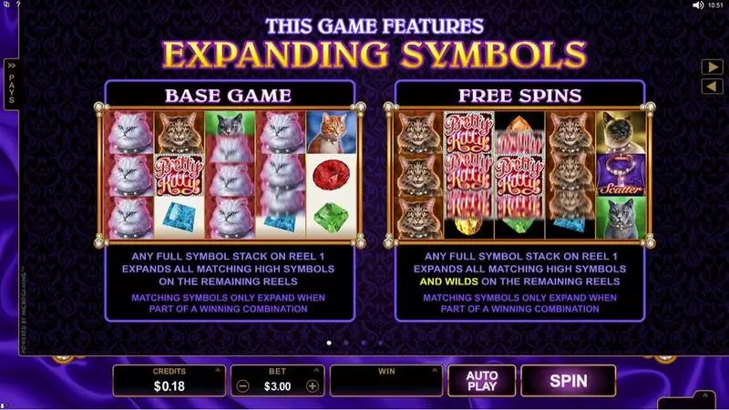 Pretty Kitty Microgaming Slot Info and Rules