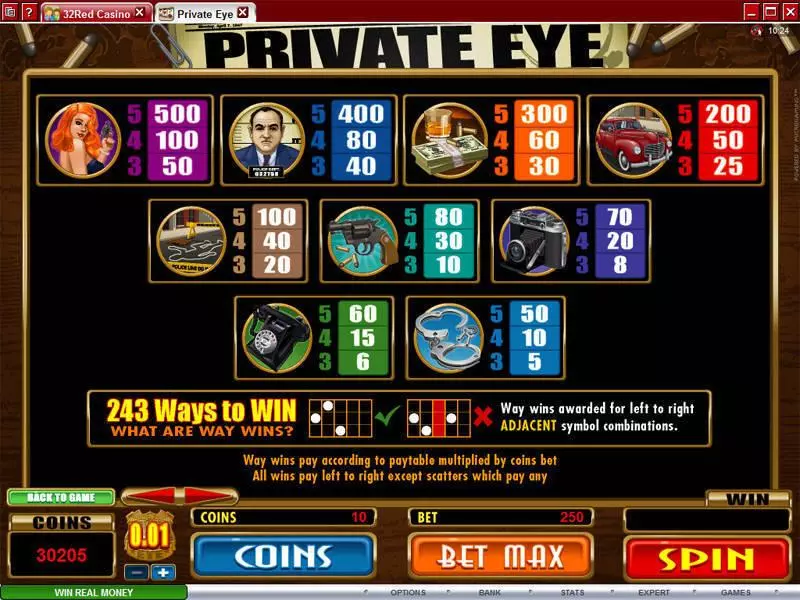 Private Eye Microgaming Slot Info and Rules