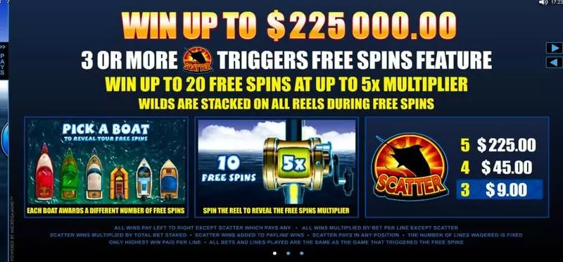 Reel Spinner Microgaming Slot Info and Rules