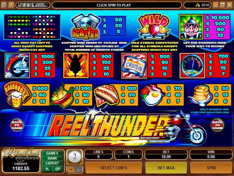 Reel Thunder Microgaming Slot Info and Rules