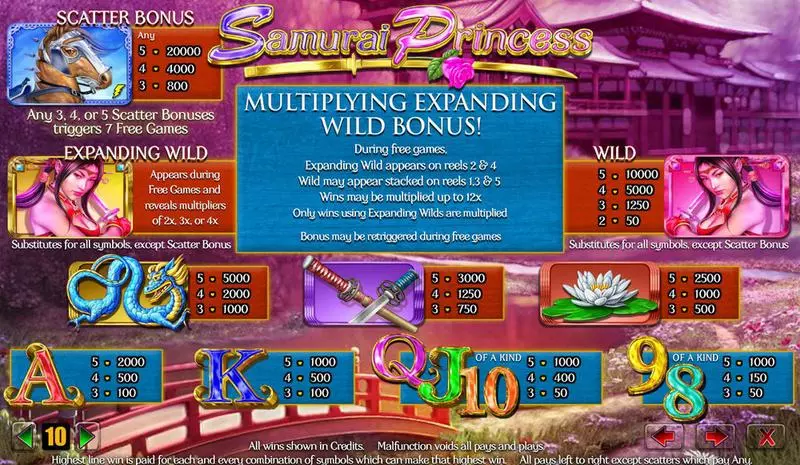 Samurai Princess Amaya Slot Info and Rules