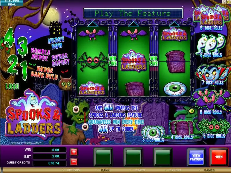 Spooks and Ladders Microgaming Slot Main Screen Reels