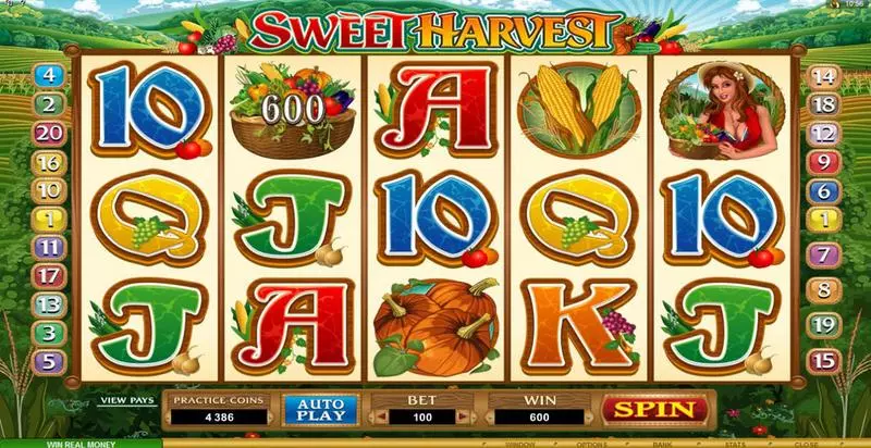 Sweet Harvest Microgaming Slot Bonus 1