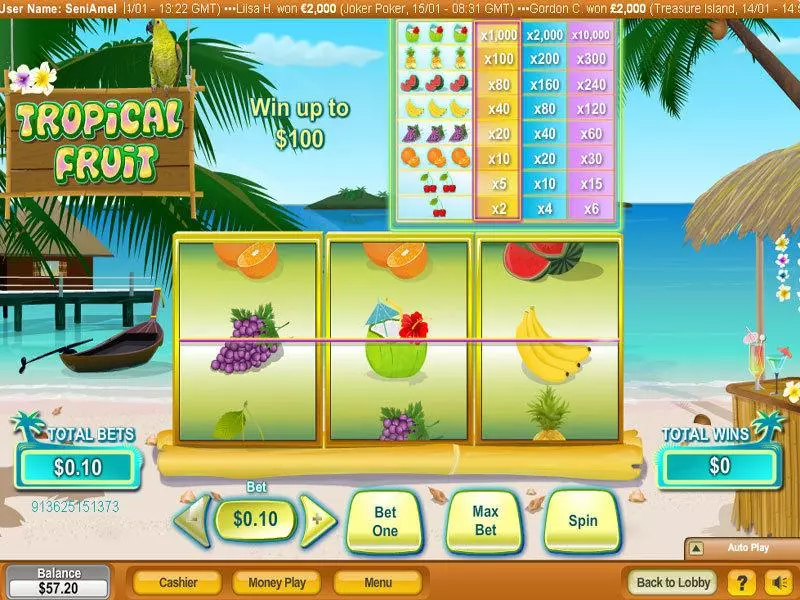 Tropical Fruit NeoGames Slot Main Screen Reels