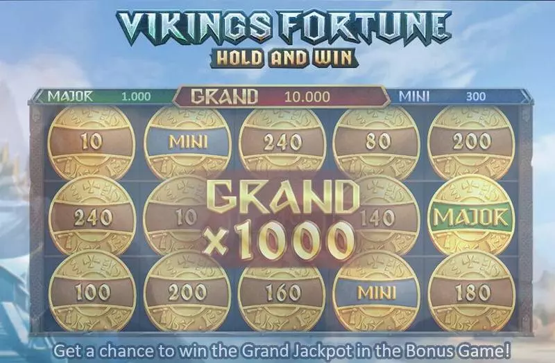 Vikings Fortune: Hold and Win Playson Slot Main Screen Reels