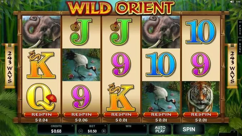 Wild Orient Microgaming Slot Introduction Screen