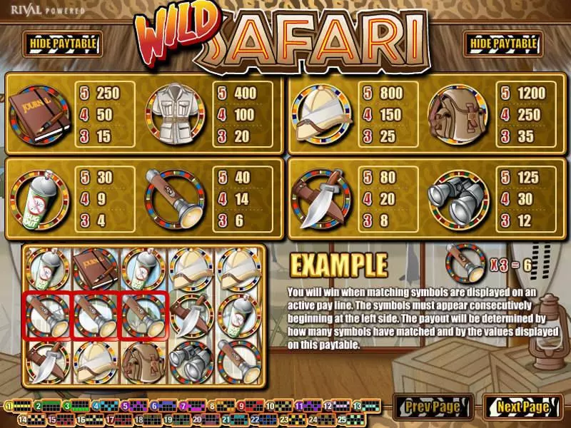 Wild Safari Rival Slot Info and Rules